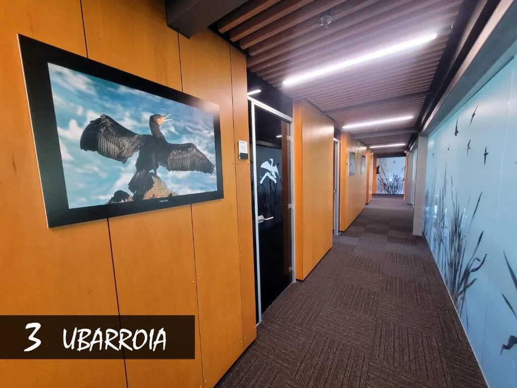 Habitación Doble con baño privado — Urdaibai Bird Center