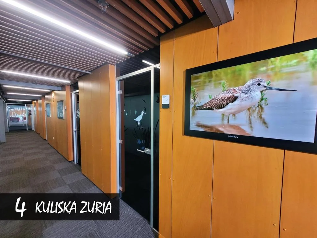 Habitación Doble con baño privado — Urdaibai Bird Center