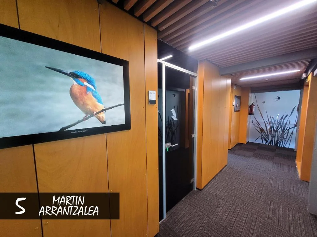 Habitación Doble con baño privado — Urdaibai Bird Center