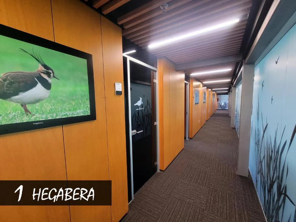 Habitación Doble con baño privado — Urdaibai Bird Center