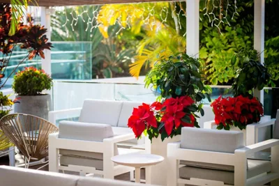 Vanilla Garden Boutique Hotel - Adults Only — Foto 11