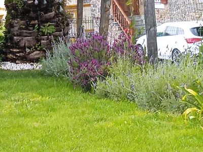 Vicario etxea — foto 10