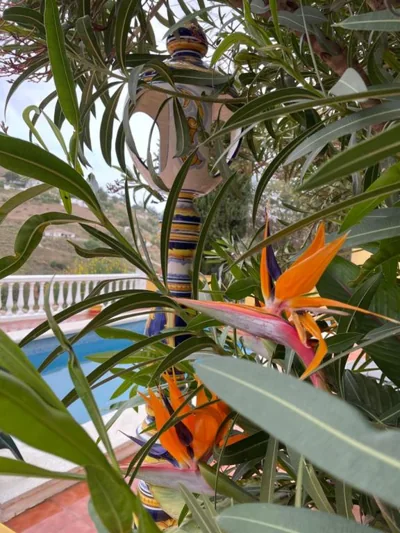 Villa Abril — foto 10