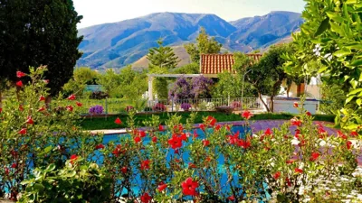 Villa Adelaida — photo 7