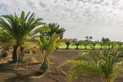 Villa Africa — Foto 5
