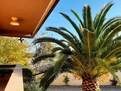 VILLA AFRICA — foto 6