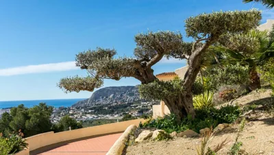 Villa Aguila - Calp — 写真 4