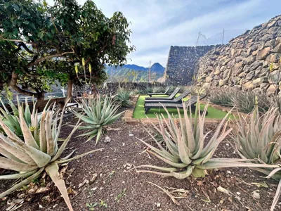 Villa Aloe — foto 11