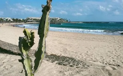 Villa Bella Lanzarote — photo 9