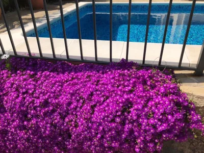 Villa Bouganvilla Parking privado 32 en la playa — 写真 9