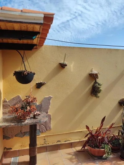 Villa Bruma Isabella — foto 11
