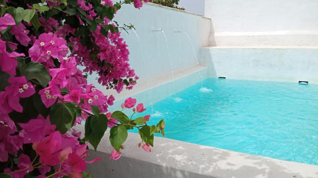 Villa Buganvillas, relax con piscina privada a pocos minutos de la Barrosa y Santi Petri