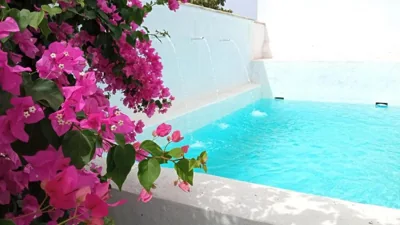 Villa Buganvillas, relax con piscina privada a pocos minutos de la Barrosa y Santi Petri — foto 4