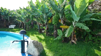 Villa Canaria Luna — Foto 11