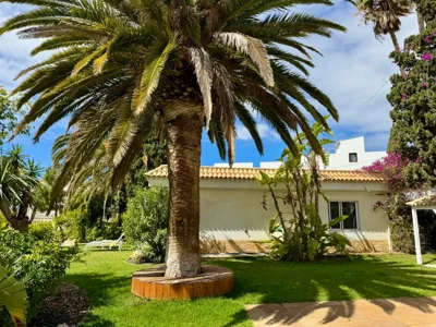Villa Casa Lilo, en jardin grande,con una gran piscina, con pérgola y barbacoa — photo 9