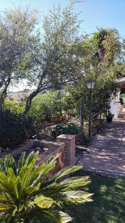Villa Charo — foto 6