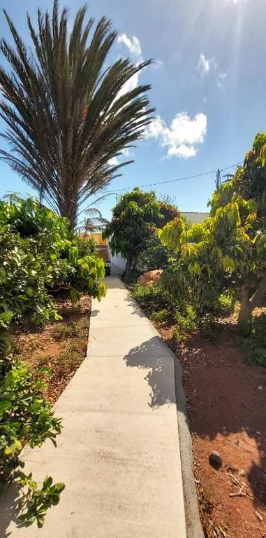 Villa Clara — 写真 10