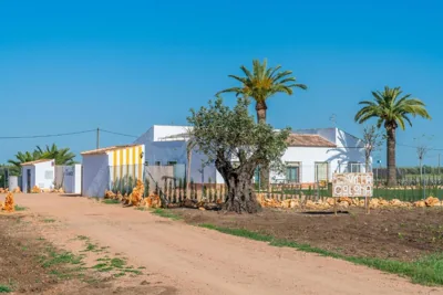 Villa Colona — foto 11