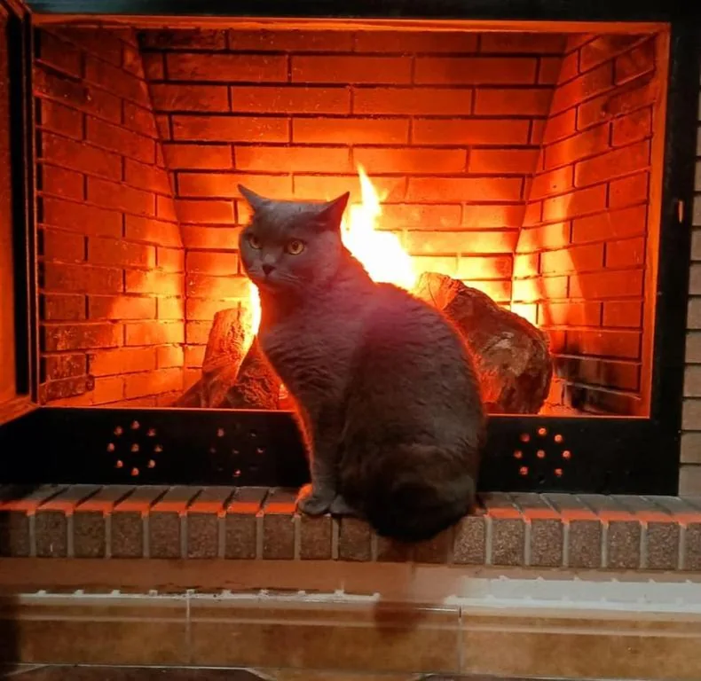 3-Bedroom Detached House — Villa con chimenea, bbq y piscina, Pet Friendly