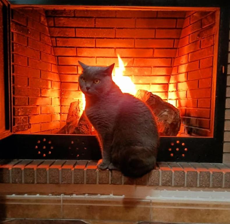 Villa con chimenea, bbq y piscina, Pet Friendly