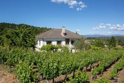 Villa con piscina y parque infantil en Pantón, Ribeira Sacra, Galicia — foto 5