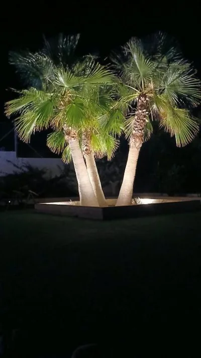 Villa con tres palmeras — 照片 9