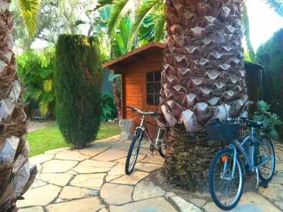 Villa de Lujo con Jardines y Piscina — 写真 6