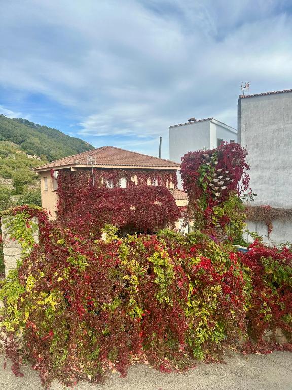 Villa del Jerte