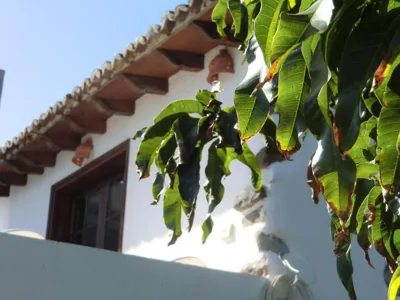 Villa Delfines - Adults Only — photo 12