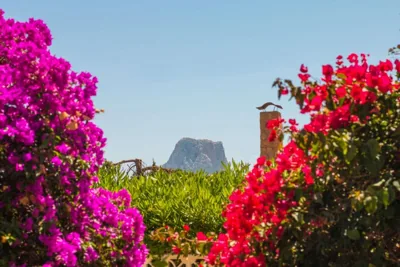 Villa Erik - PlusHolidays — foto 11