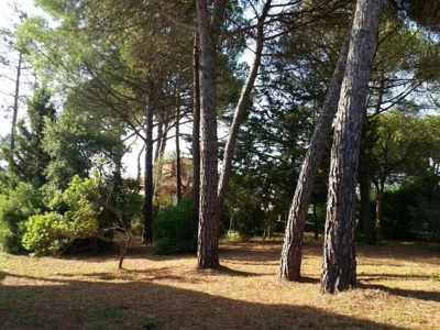 Villa Fabiola — foto 11