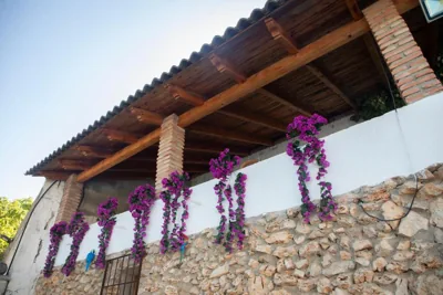 Villa Fuji Sierra de la Pandera Jaén — photo 11
