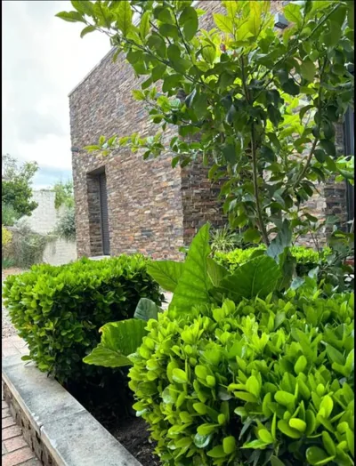 Villa Galiana — 写真 12