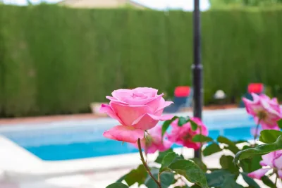 Villa Granada Garden Deluxe — 写真 10