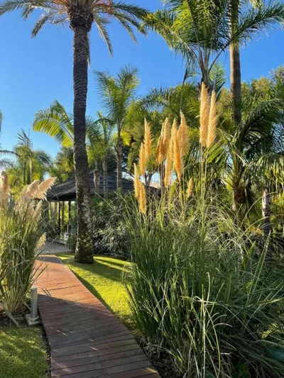 Villa in palm tree plantation, near the beach. — foto 7