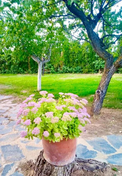 Villa Independiente con Bodega y Barbacoa - perfecto familia y grupos — foto 12