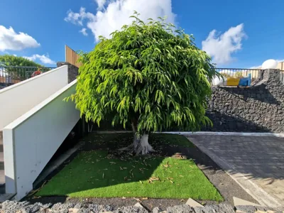Villa Juanita, Puerto del Carmen, Lanzarote — foto 9