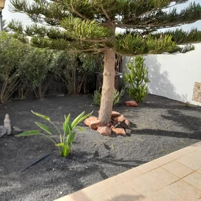 Villa julima — foto 10