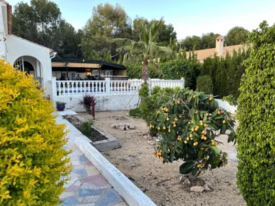Villa la Vida — photo 9