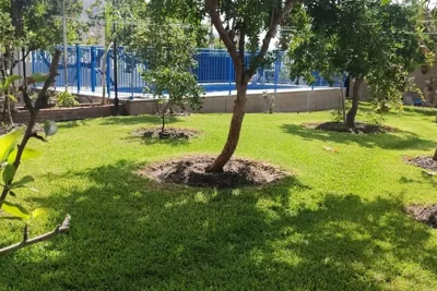 villa las aguilas — foto 10