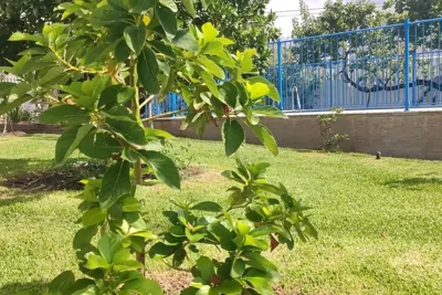 villa las aguilas — foto 11
