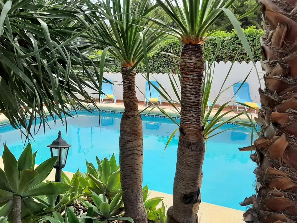 Villa Limon - Tropical Oasis with Private Pool