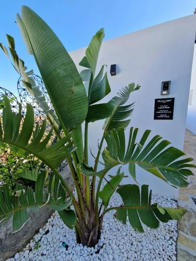 Villa Lomy Casares — foto 11