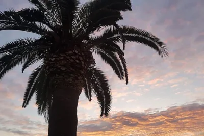 Villa Los Balcones — 写真 10
