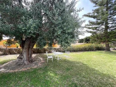 Villa Los Gallos — foto 12
