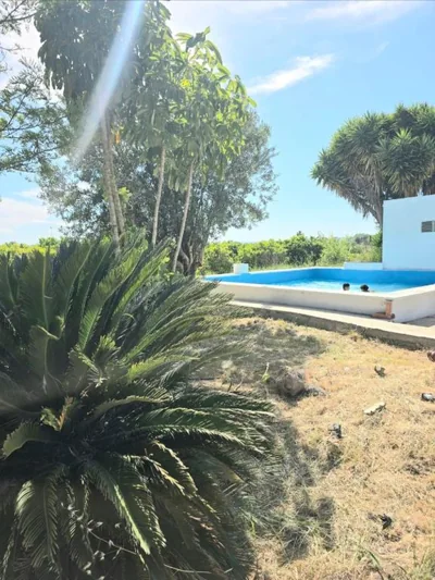 Villa Los Naranjos — photo 9