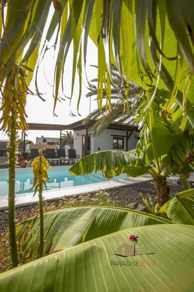 Villa Luz — foto 4