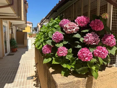 Villa Manolo — foto 6