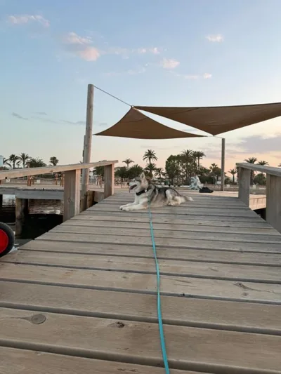 VILLA MARE - 2 beds with balcony, patio and pool and direct park access — foto 7