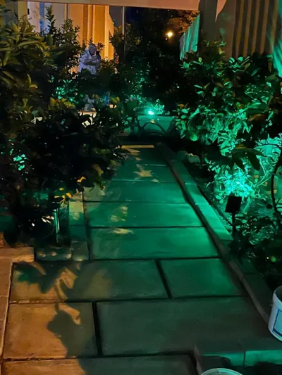 Villa Marjal — foto 10
